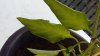 20170614_013221.jpg 20170614_013221.jpg