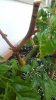20170613_212144.jpg