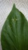 20170615_201259.jpg