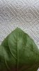 20170615_201315.jpg
