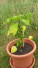 20170624_114304.jpg