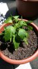 20170624_134732.jpg