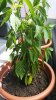 20170624_134740.jpg