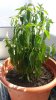 20170624_134749.jpg
