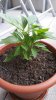 20170625_080159.jpg