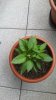 20170625_080204.jpg