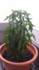 20170625_080217.jpg