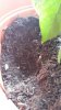 20170625_091729.jpg