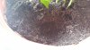 20170625_091838.jpg