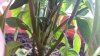 20170625_092107.jpg