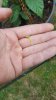 20170626_164640.jpg