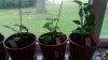 20170625_182122.jpg
