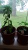 20170625_182108.jpg
