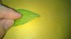 WP_20170705_004.jpg WP_20170705_004.jpg