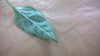 WP_20170705_006.jpg WP_20170705_006.jpg