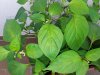 20170706_111847.jpg