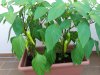 20170706_111928.jpg