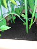 20170706_120822.jpg