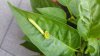 20170708_150630.jpg