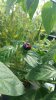 20170709_135628.jpg 20170709_135628.jpg