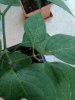 IMG_20170718_211940.jpg
