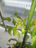 IMG_20170718_211715.jpg