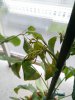 IMG_20170718_211722.jpg