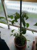 IMG_20170718_211738.jpg