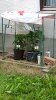 20170719_203631.jpg