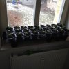 12.02.2017-2.jpg