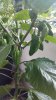 20170731_204130.jpg 20170731_204130.jpg