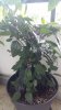 20170731_204148.jpg 20170731_204148.jpg