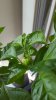20170728_144804.jpg