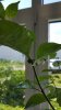 20170728_144746.jpg