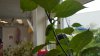 20170801_173757.jpg