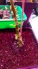 20170302_183446.jpg