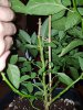 20170807_234638.jpg