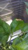 20170814_131244.jpg
