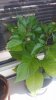 20170814_131257.jpg