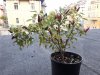 20170822_193054.jpg