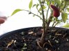 20170822_193032.jpg