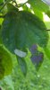 20170829_190744.jpg