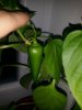 20170829_201959.jpg