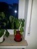 20170829_201915.jpg