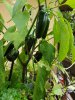 20170908_180119.jpg