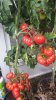 20170804_173135.jpg