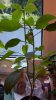 20170916_192423.jpg