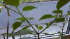 20170916_192502.jpg