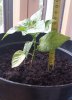 20170919_092205.jpg