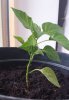 20170919_092236.jpg
